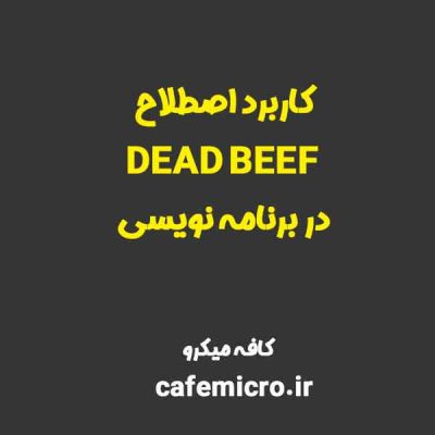 کاربرد اصطلاح DEAD BEEF در برنامه نویسی-کافه میکرو